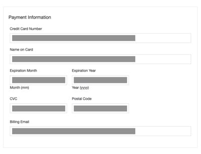 license-payment-details